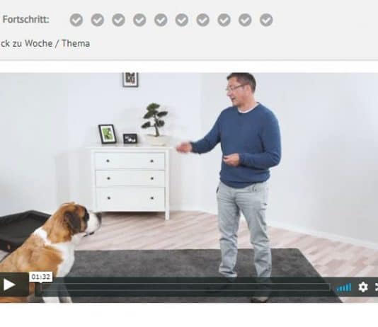 Hundetrainer Jörg Ziemer erklärt bei mydog365 eine Übung
