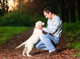 Der Hund als Bewährungshelfer - die therapeutische Wirkung ist bewiesen.