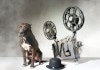 FIlmhund: Lassie und ihre Kollegen