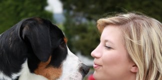 Interview mit Kristina Falke: Fernstudium zum Hundetrainer