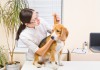 Beruf Tierphysiotherapeut