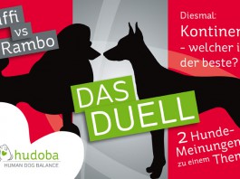 Das hudoba-Duell: Welcher Kontinent ist der beste für Hunde?