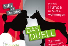 hudoba Duell: Hunde in der Mietwohnung