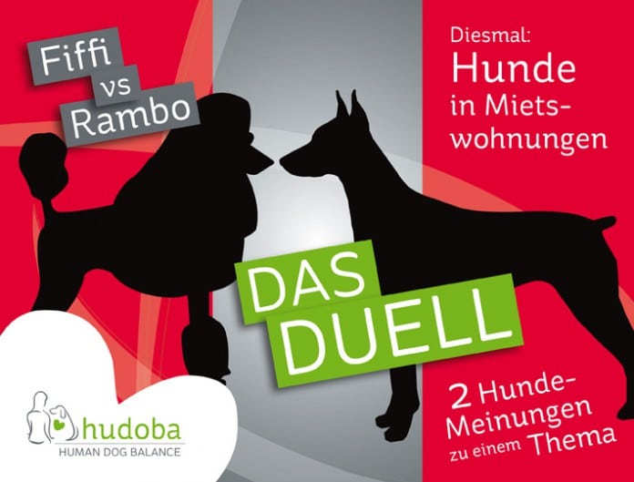 hudoba Duell: Hunde in der Mietwohnung