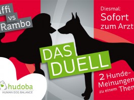 hudoba Duell: Solltest du sofort mit deinem Hund zum Tierarzt oder lieber abwarten?