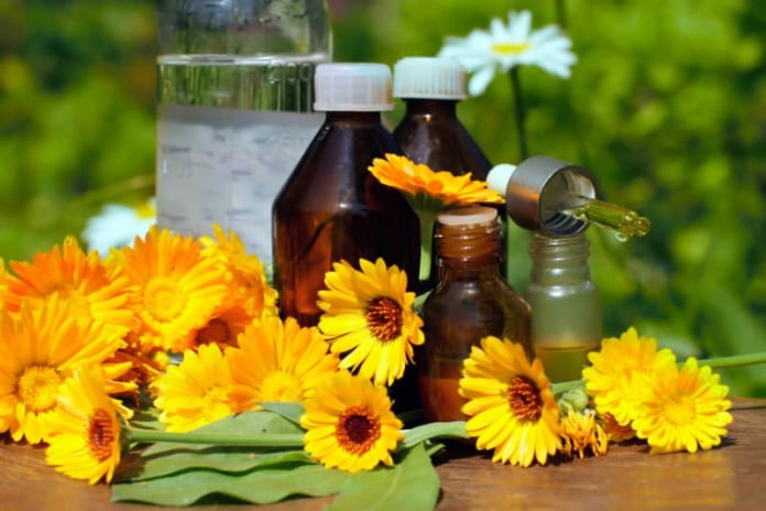 Einige Ringelblumen und ätherische Öle zur medizinischen Anwendung.