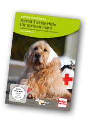 Dogtale Strodtbeck Notfall! Erste Hilfe für meinen Hund Cover