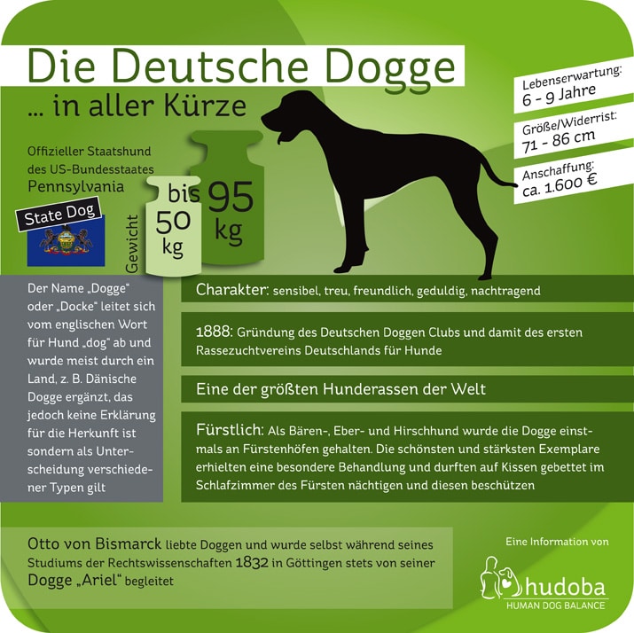 hudoba.de - Für dich und deinen Hund