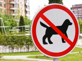 Vermieter verbietet Hund
