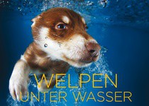 Welpen unter Wasser (Cover)