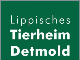 Tierheim Detmold: Logo