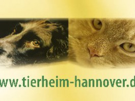 Tierheim Hannover: Logo/Banner