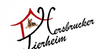Tierheim Hersbruck: Logo