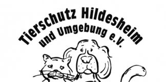 Tierheim Hildesheim: Logo