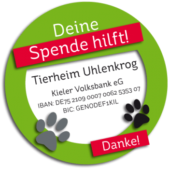 Spende fürs Tierheim Kiel