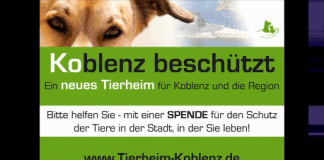 Tierheim Koblenz: Logo