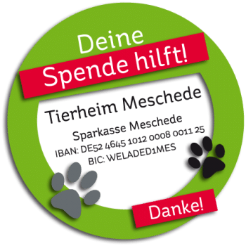 Spende fürs Tierheim Meschede (Tierschutzverein Hochsauerlandkreis)