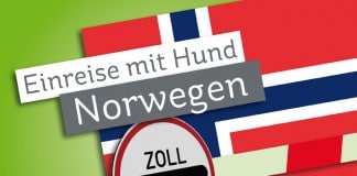 Einreise mit Hund: Norwegen - Zollschranke vor norwegischer Flagge.