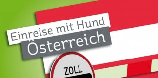 Einreise mit Hund: Österreich - Zollschranke vor Österreich-Flagge.