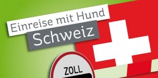 Einreise mit Hund: Schweiz - Zollschranke vor schweizer Flagge.