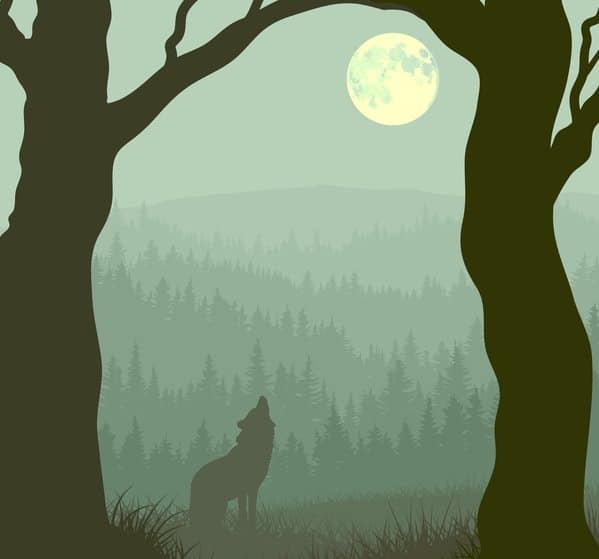 Geisterhund oder Wolf heult den Mond an