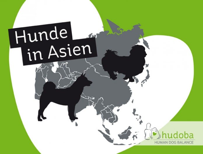 Hunde in Asien