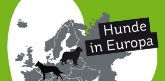 Hunde in Europa