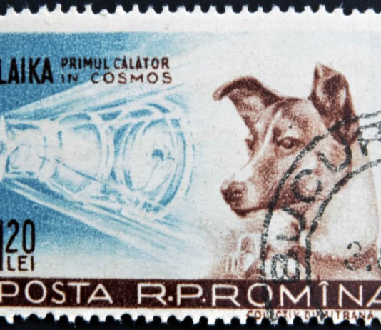 Briefmarke Hündin Laika