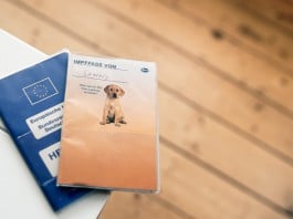 Tierarzt-Kosten: Dokumente und Bescheinigungen